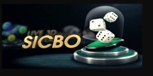 Bongvip Kinh Nghiệm Chơi Tài Xỉu Và Cách Lắc Xí Ngầu Chuẩn