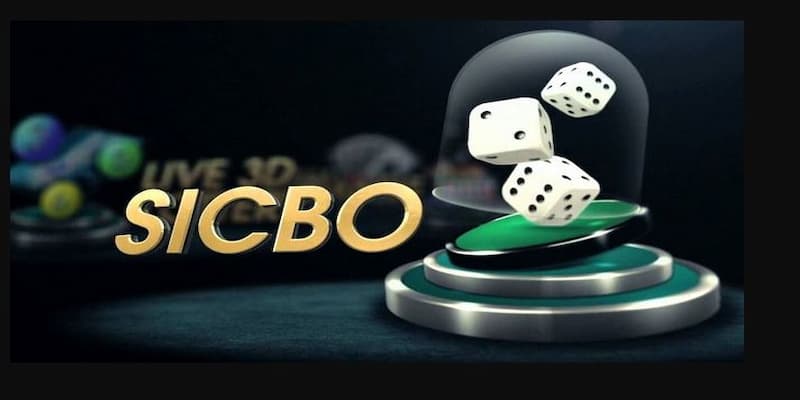 Bongvip Kinh Nghiệm Chơi Tài Xỉu Và Cách Lắc Xí Ngầu Chuẩn