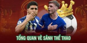 MMWIN - Sảnh Cá Cược Thể Thao Đỉnh Với Trải Nghiệm Hoàn Hảo